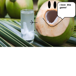 Coconut nut