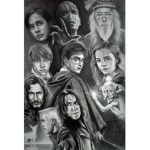 Offical Harry Potter Fan Group