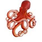 the octopus gang