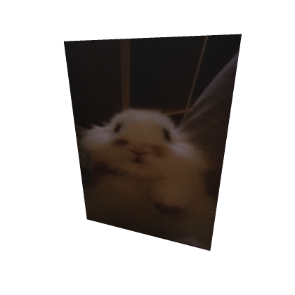 My rabbit Bobek