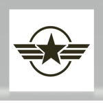 P.M.S. [Private Military Solutions]
