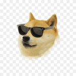 team fall guys y doges