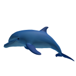 Blue Dolphin Buddy
