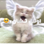 ملابس عربيه