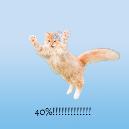 40%