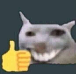 Just A Random Robloxian