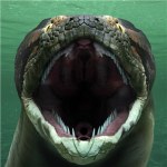 Titanoboa Clan