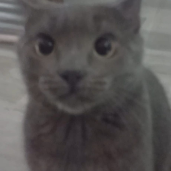 pietruzzo95 VERY sad story