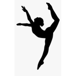 ash and ree dance academy!