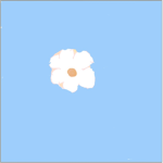 Cuty Flower
