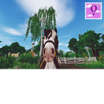 the Equestrian gang!