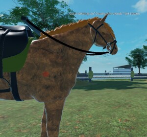 (Old) .+Maple Equestrian Center+. 