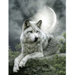 THEWOLFPACK AWOOOO!!!
