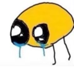 Sad lemon cult