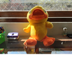 Patitoo Roblox