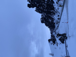 .P01$0N.