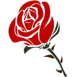 🌹Roses🌹
