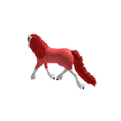 James as a Irish Cob Trotting