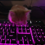 HeinzBeans HQ