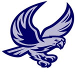 Roblox Falcon Forces