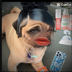 PreppyPug