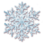 Snowflake-Squad