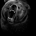 Mr bears group!