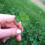 Lucky Clovers <3