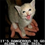 the funny cat lovers