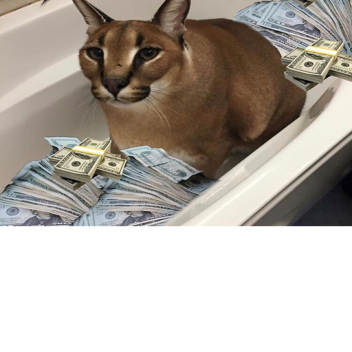 OG Flopper's Home Place 