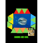 Fans of sharks