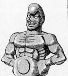 [鴨川] Kamogawa Boxing Gym