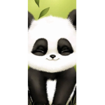 Panda experts