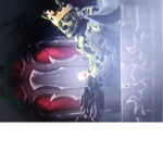 fnaf group animator