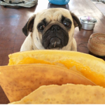#DOG