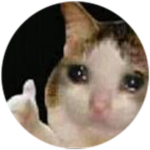 meow cat meowwww
