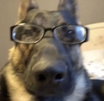 badwhf'