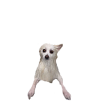 Goob Garments