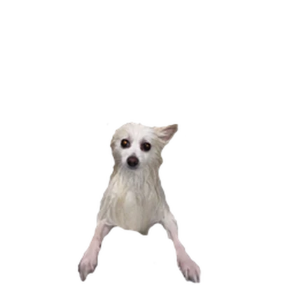 Goob Garments Roblox group icon