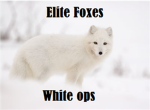 ELITE FOXS