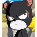 Kazy Kat Pirates | (Official)