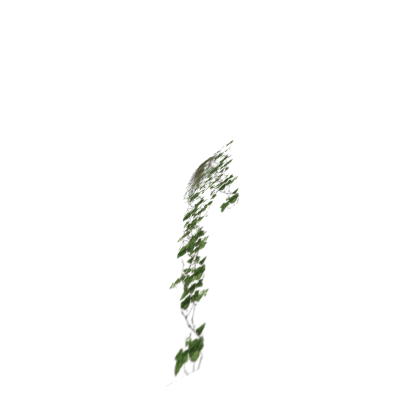 Grass