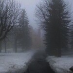 remember this winter