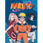Naruto_Leaf_Clan
