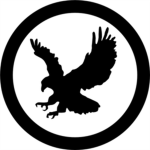Black Hawk Security Consulting