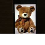 Cute teady bear group :3