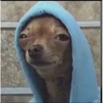 h.h.g