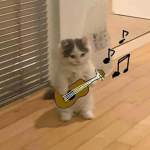 Saikirules
