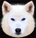 Moonlight Warriors Clan