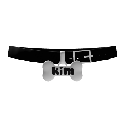 ♡ ︵ ˚ ｡˚ kim collar